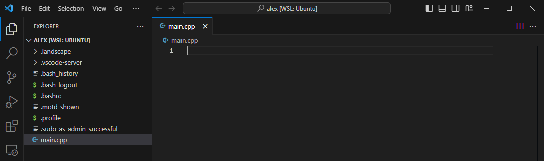 Setting up a C++ Programming Environment