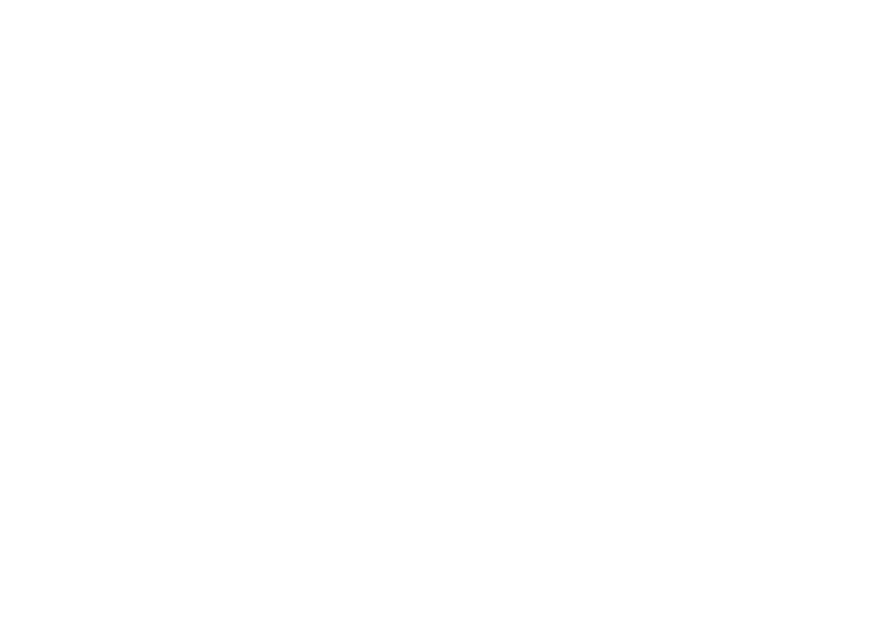Scope diagrams showing variables in the scope of main() and outputMaxDamage().